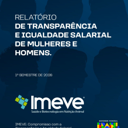 Relatório de Transparência e Igualdade Salarial de Mulheres e Homens.